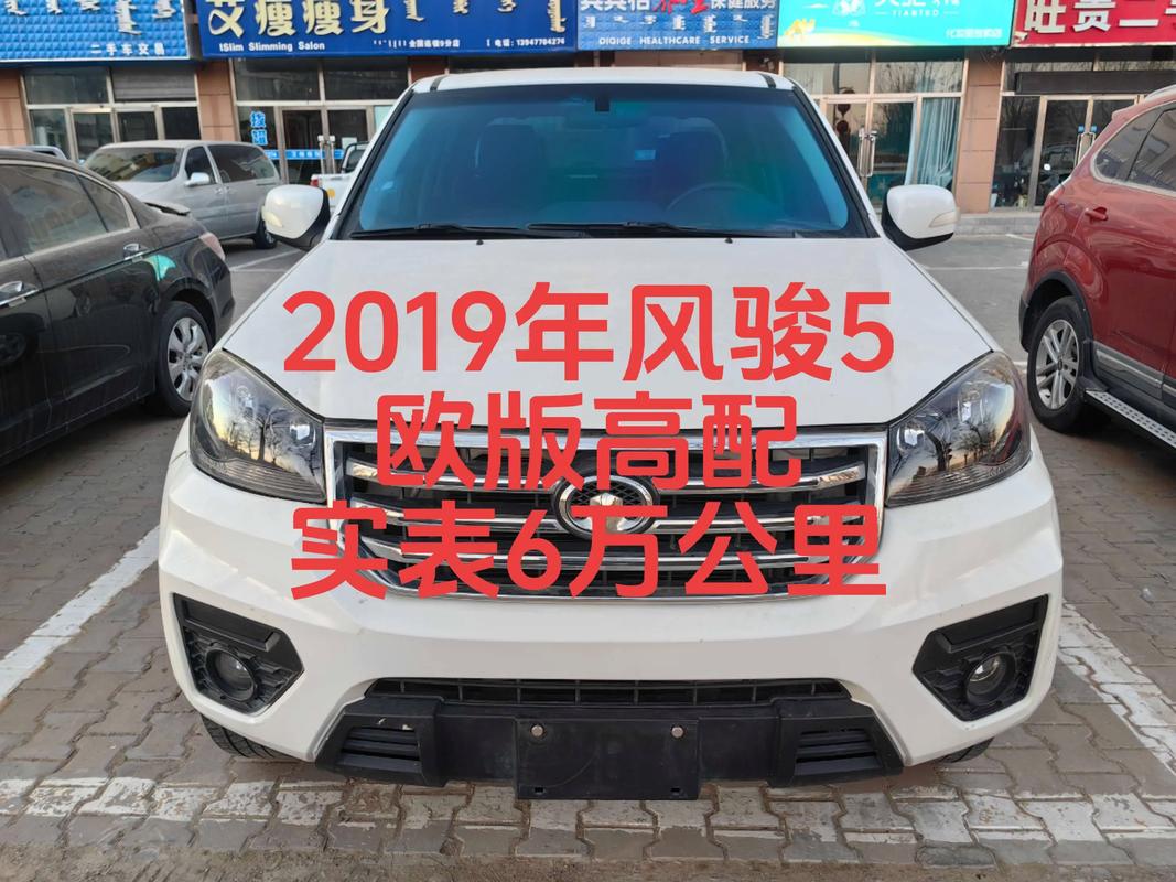 风骏五欧洲版 风骏五欧洲版的价格