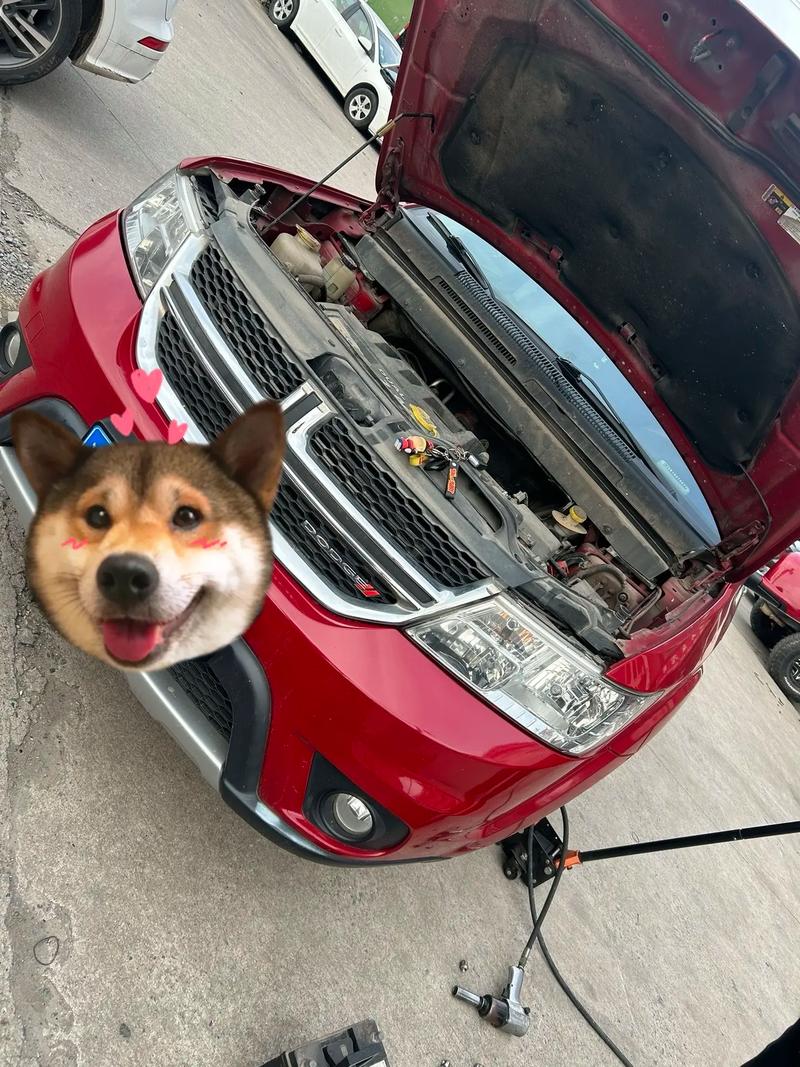 道奇酷威电瓶在哪里,道奇酷威电瓶在哪里打开