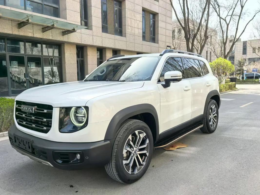 哈弗大狗边牧版价格 哈弗大狗边牧旺财落地价