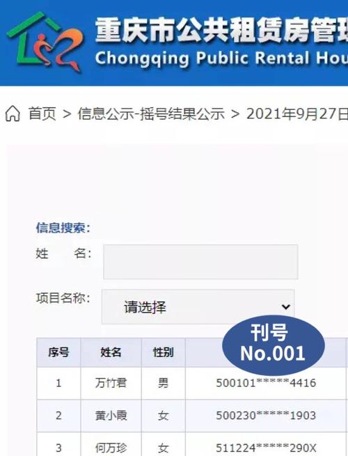 个人摇号查询结果(查询摇号申请结果查询)