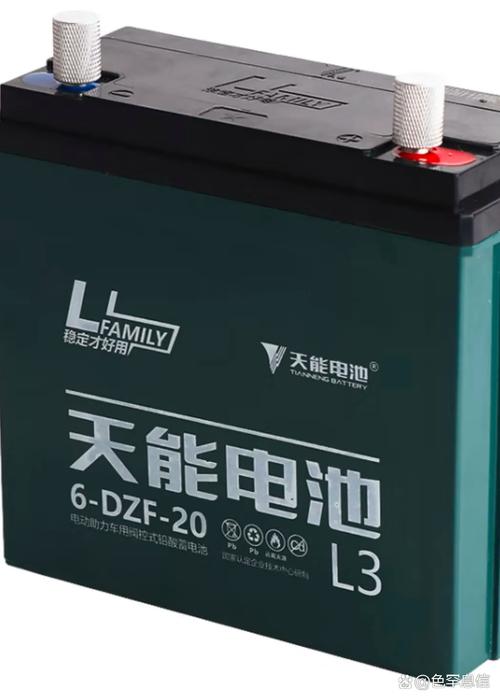 中国电瓶十大名牌排名(中国电瓶十大名牌排名第一)