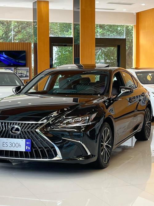 最新款的雷克萨斯(最新款的雷克萨斯5 00保母车导航支架买哪款好)