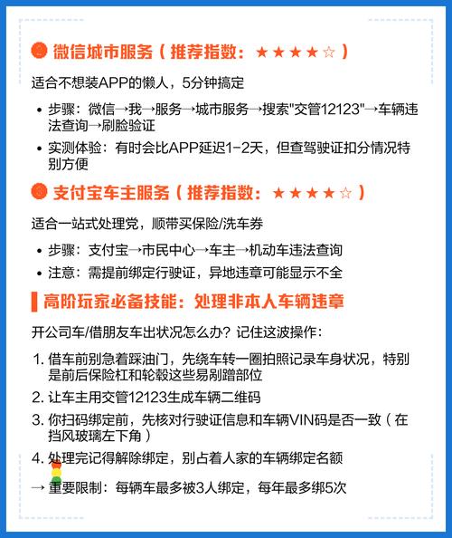 怎么查车辆违章信息查询／怎样查询车辆违章？