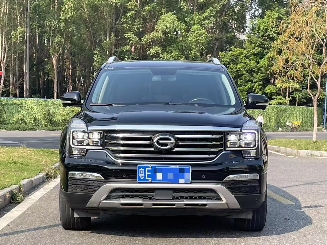 传祺最新款suv 传祺最新款gs8图片
